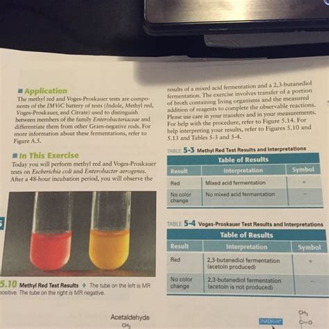 methyl red and voges-proskauer test|3.17.32 Methyl Red–Voges‐Proskauer (MR‐VP) Tests .